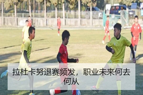 拉杜卡努退赛频发，职业未来何去何从 | Nangong